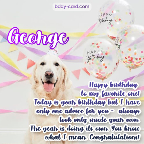 Happy Birthday pics for George with Dog