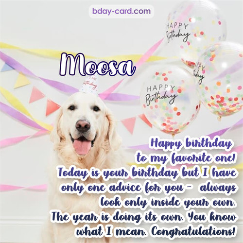 Happy Birthday pics for Moosa with Dog