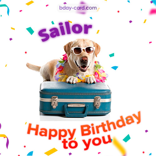 Funny Birthday pictures for Sailor