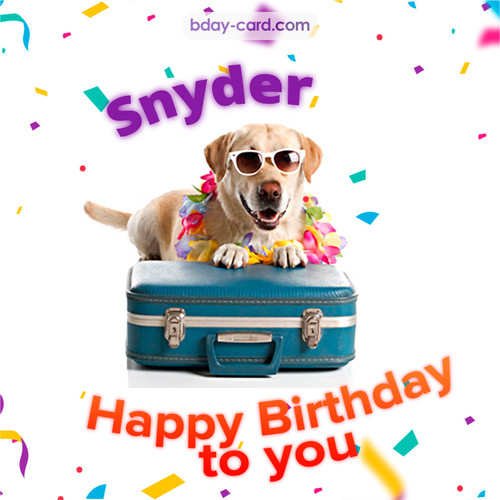 Funny Birthday pictures for Snyder