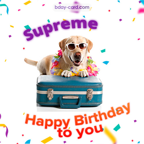 Funny Birthday pictures for Supreme