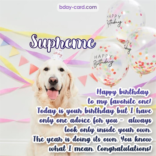 Happy Birthday pics for Supreme with Dog