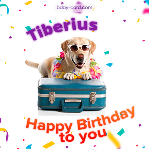 Funny Birthday pictures for Tiberius