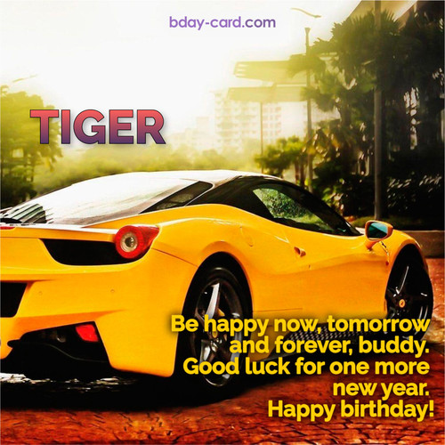 Birthday photos for Tiger with Wheelbarrow