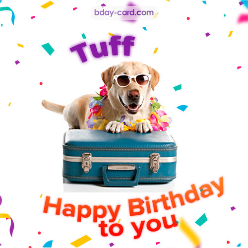 Funny Birthday pictures for Tuff