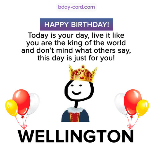 Happy Birthday Meme for Wellington