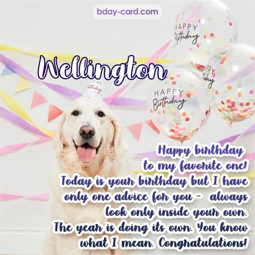 Happy Birthday pics for Wellington with Dog