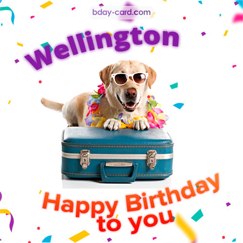 Funny Birthday pictures for Wellington