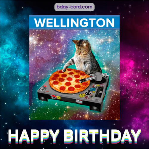 Meme with a cat for Wellington - Happy Birthday