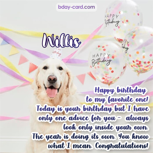 Happy Birthday pics for Willis with Dog