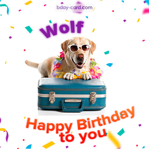 Funny Birthday pictures for Wolf
