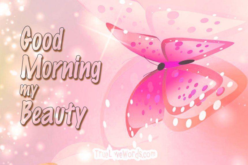 Pink butterfly on a soft background with good morning