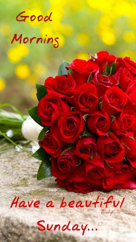 Large bouquet of red roses on a stone