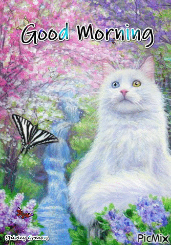 white cat with different eyes in a fairy forest