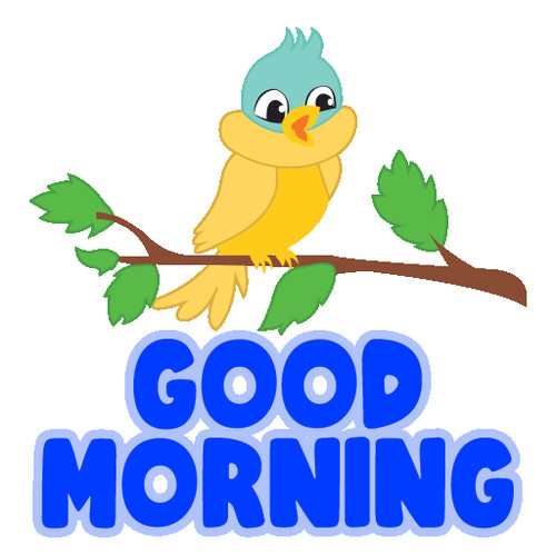 a bird on a branch sings early in the morning