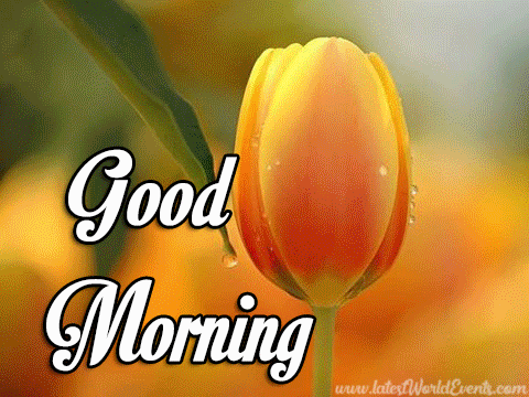 Good morning wishes on the background of different images...