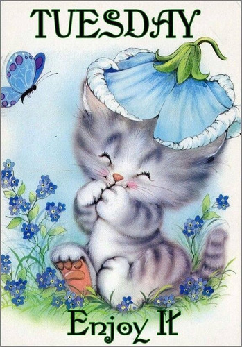 a laughing kitten with a flower on its head among the bells