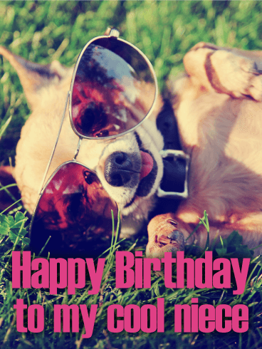 Furry chihuahua happy birthday card for niece birthday