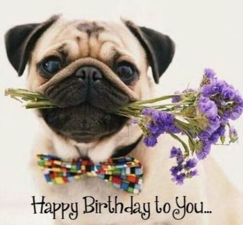 Happy birthday pics hd download funny quotes images for h...