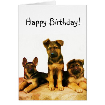 Happy birthday german shepherd puppies card zazzle co uk