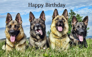 Birthday wishes with german shepherd
