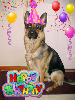 Happy birthday shelby ♥ ♥ german shepherds ♥ pinterest