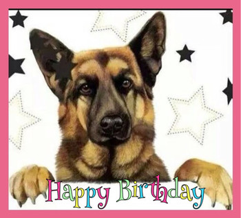 Happy birthday card german shepherd fb special occasions