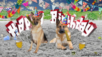 Happy birthday german shepherd youtube