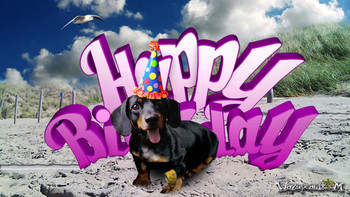 Teckel dog dachshund happy birthday youtube