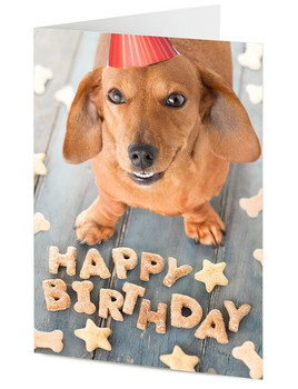 Happy birthday images for her with dogs ideas happy birth...