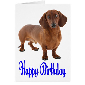 Blue happy birthday dachshund puppy dog card
