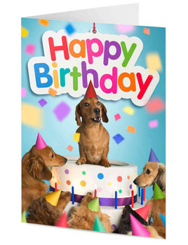 Birthday sausage dog and dachshund friends emerges from c...