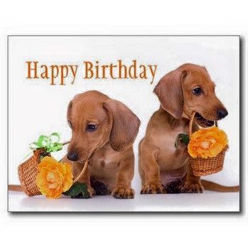 Happy birthday images with dachshunds birthday week desktop