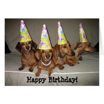 Happy birthday dachshund card zazzle co uk