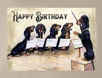 Dachshund greeting cards – greeting cards design