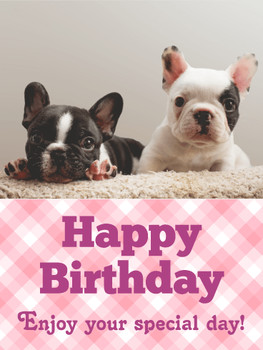 Adorable french bulldog birthday card birthday amp greeti...