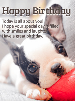 Playing puppy happy birthday card birthday amp greeting c...