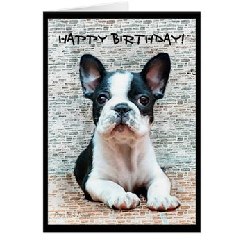 Happy birthday french bulldog greeting card zazzle co uk