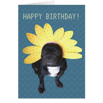 Happy birthday french bulldog flower card zazzle co uk