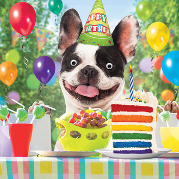 French bulldog birthday bash funny birthday card d goggly...