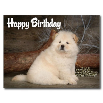Happy birthday chow chow puppy dog postcard chow chow