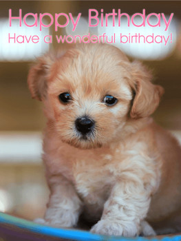 Cute puppy birthday card birthday amp greeting cards by d...