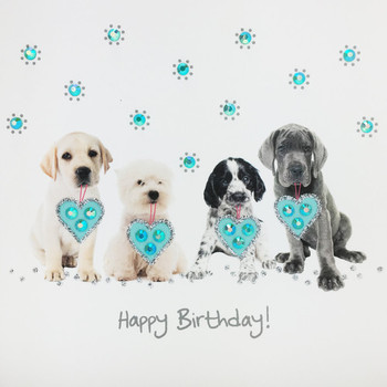 Birthday puppies n – jaab cards