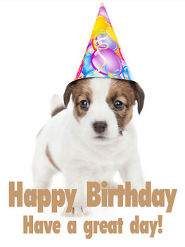 Dog happy birthday cards birthday amp greeting cards by d...