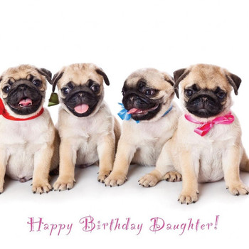 Pug happy birthday images