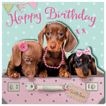 Happy birthday puppies birthday card cards bampm