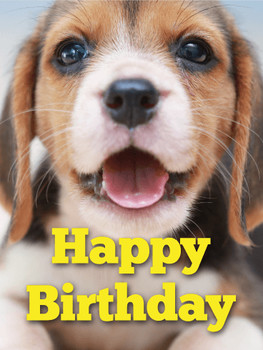 Cute beagle happy birthday card birthday amp greeting car...