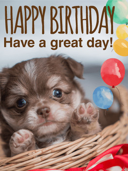 Balloon amp puppy birthday card birthday amp greeting car...