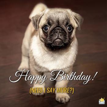 Cute animals and funny happy birthday wishes