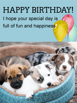 Cute puppies animal birthday card birthday amp greeting c...